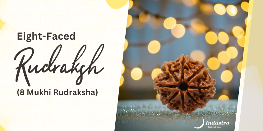 Eight-Faced Rudraksh (Eight Mukhi Rudraksha)